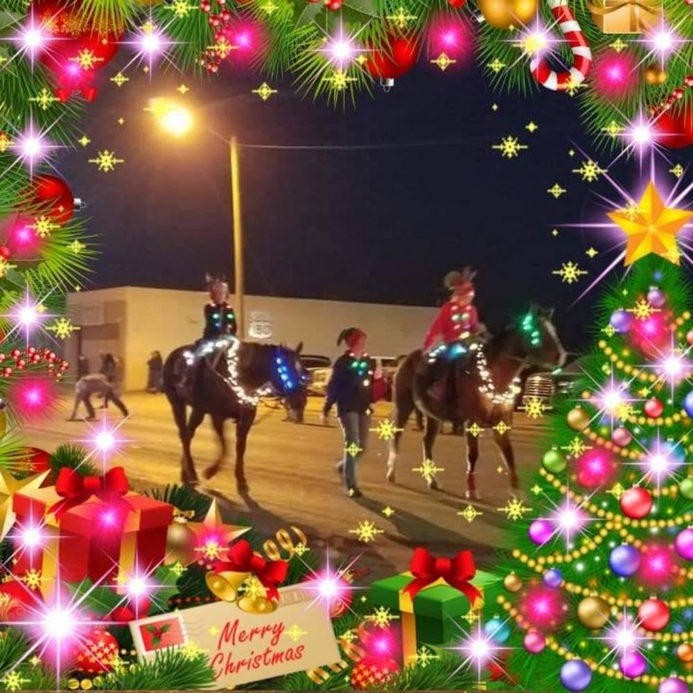 Meet your Posher, Shandra